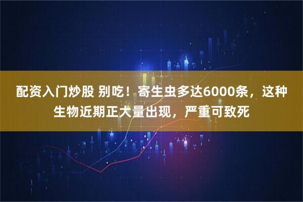 配资入门炒股 别吃！寄生虫多达6000条，这种生物近期正大量出现，严重可致死